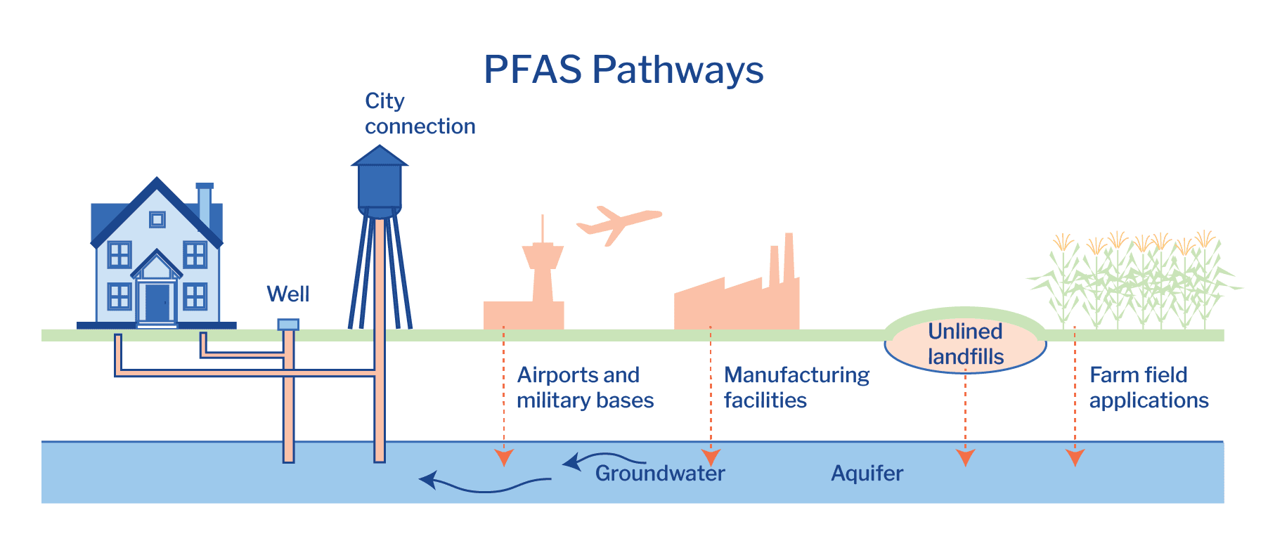 Diagram showing the pathway of PFAS